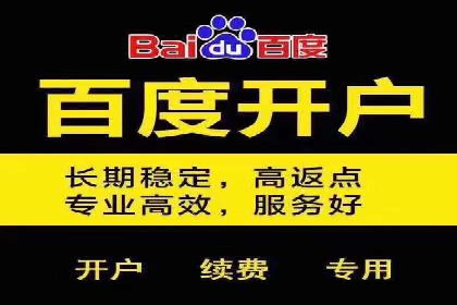 百度SEM竞价推广案例解析：某知名品牌如何抢占市场先机